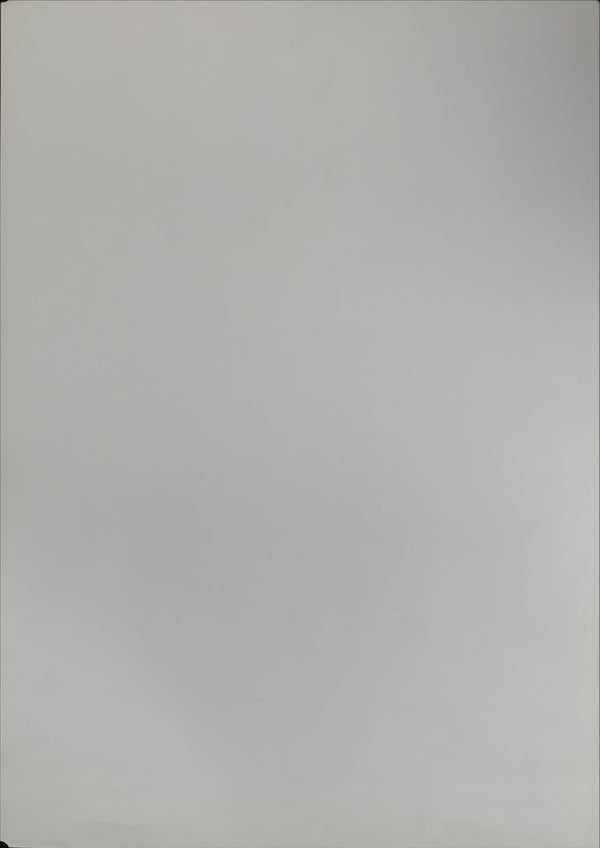 "The Assassination of Richard Nixon", Original Release Japanese Movie Poster 2004, B2 Size (51 x 73cm) B50