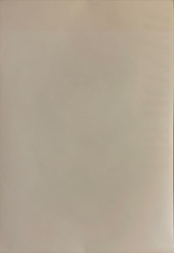 "Neon Genesis: Evangelion", Original Japanese Poster 1997, SEGA, B2 Size (51 x 73cm) I2