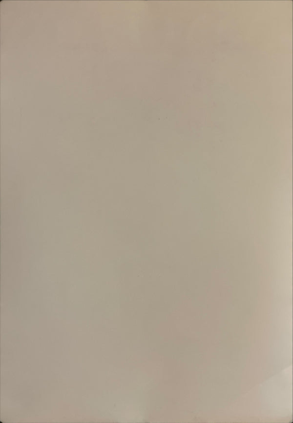 "Neon Genesis: Evangelion", Original Japanese Poster 1997, SEGA, B2 Size (51 x 73cm) I3