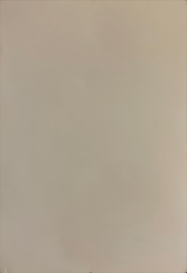 "Neon Genesis: Evangelion", Original Japanese Poster 1997, B2 Size (51 x 73cm) I4