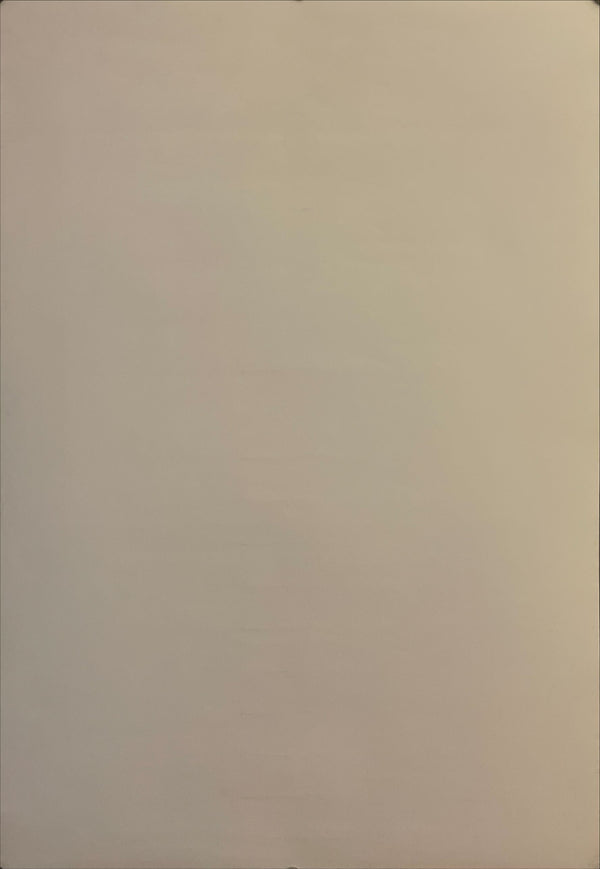 "Neon Genesis: Evangelion", Original Japanese Poster 1997, B2 Size (51 x 73cm) I5