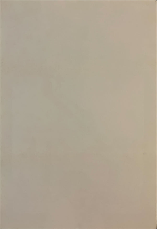 "Who Can Kill a Child?", Original Release Japanese Movie Poster 1976, B2 Size (51 x 73cm) I7