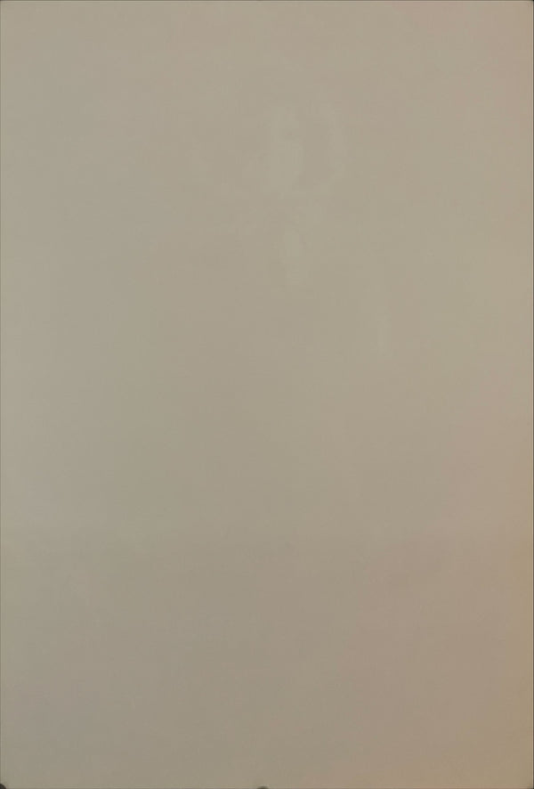 "Don't Look Now", Original Release Japanese Movie Poster 1973, B2 Size (51 x 73cm) I10