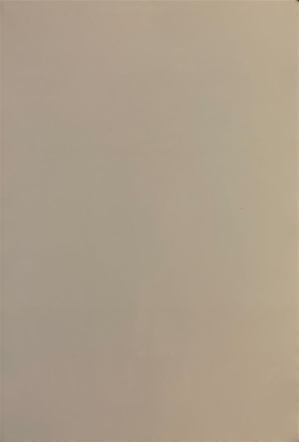 "New Jack City", Original Release Japanese Poster 1991, B2 Size (51 x 73cm) I14