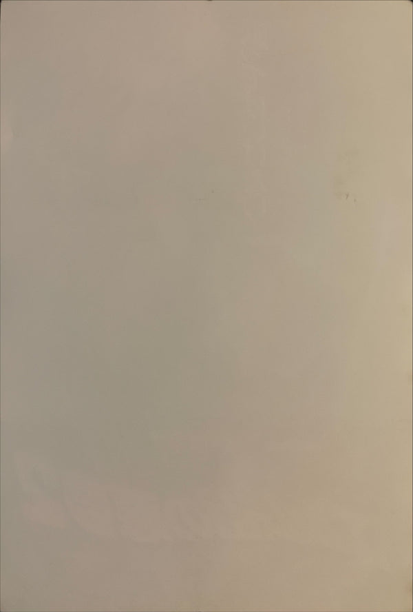 "A Nightmare on Elm Street 2: Freddy's Revenge", Original Release Japanese Movie Poster 1985, B2 Size (51 x 73cm) I16