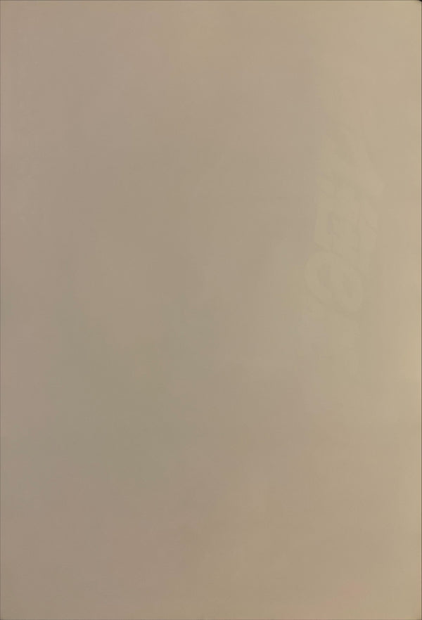 "A Nightmare on Elm Street 3: Dream Warriors", Original Release Japanese Movie Poster 1987, B2 Size (51 x 73cm) I17