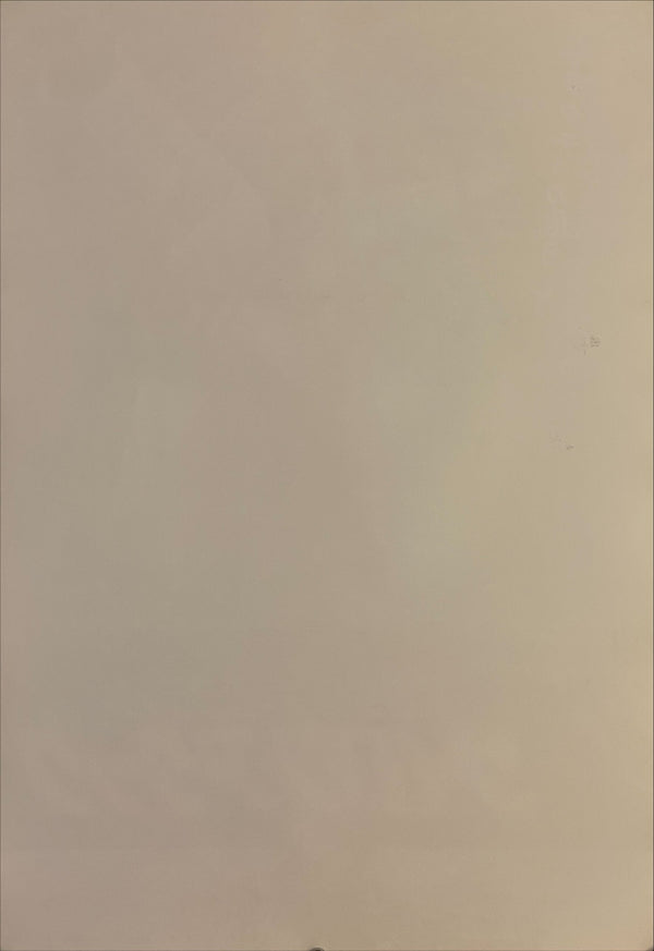 "Mission Galactica: The Cylon Attack", Original First Release Japanese Movie Poster 1979, B2 Size (51 x 73cm) I23