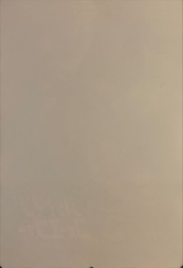 "Batman Forever", Original Release Japanese Movie Poster 1995, B2 Size (51 x 73 cm) I26