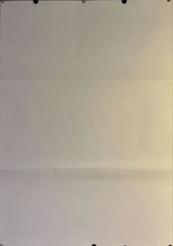 "Back to the Future Part II" Japanese Movie Poster, Original Release 1989, B1 Size (71 x 103cm) K51