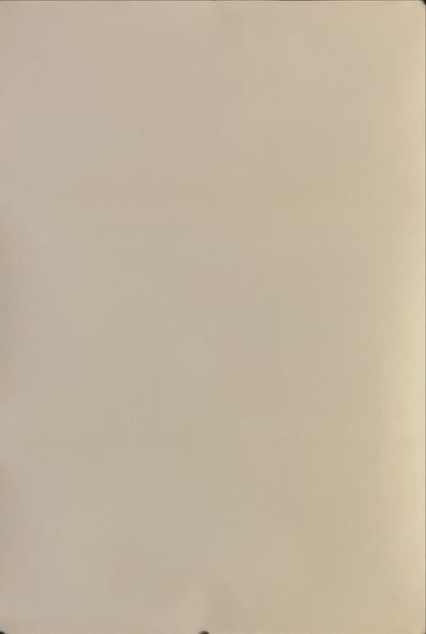 "Weekend", Original Re-Release Japanese Movie Poster 2002, B2 Size (51 x 73cm) I51