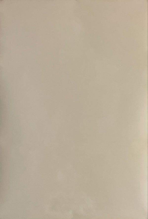 "Midnight Express", Original First Release Japanese Movie Poster 1979, B2 Size (51 x 73cm) I97