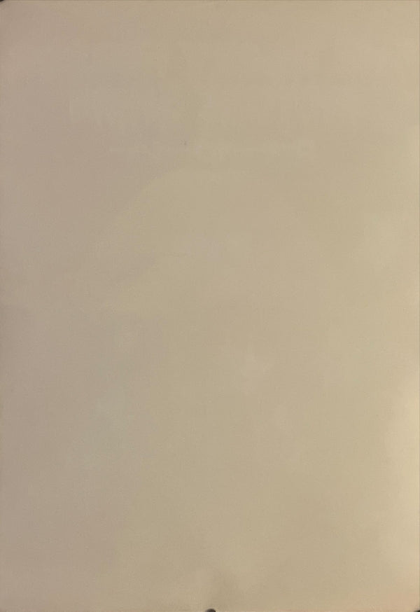 "The Rocky Horror Picture Show", Original Re-Release Japanese Movie Poster 1988, B2 Size (51 cm x 73 cm) I94