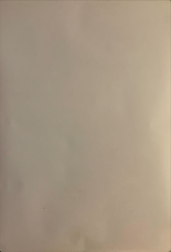 "Brother", Original Release Japanese Movie Poster 2000, B1 Size, (71 x 103 cm)