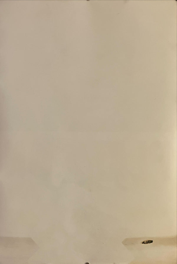 "Platoon", Original Release Japanese Movie Poster 1987 , B2 Size (51 x 73cm) I103