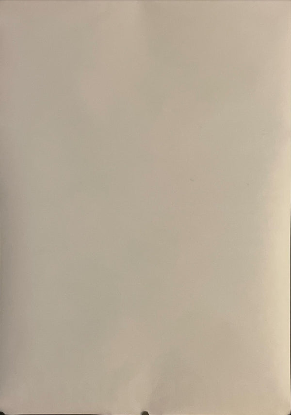 "John Cassavetes Retrospective", Original Japanese Movie Poster 2013, B2 Size (51 x 73cm) I108