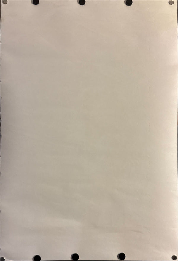 "Akira DVD Special Edition", Original DVD Release Japanese Movie Poster 2001, B2 Size (51 x 73cm) M41