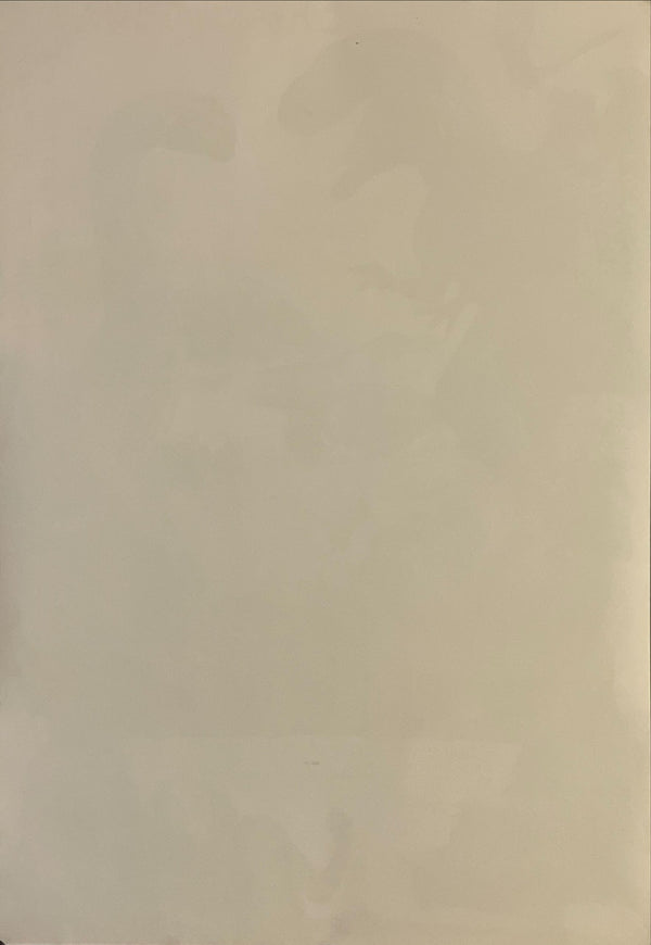 "One Million Years B.C.", Original Re-Release Japanese Movie Poster 1977, B2 Size (51 x 73cm) I114