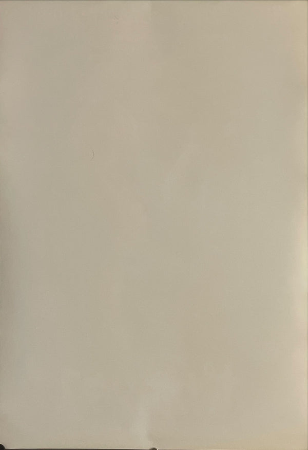 "Pocahontas", Original Release Japanese Movie Poster 1995, B2 Size (51 x 73cm) I125