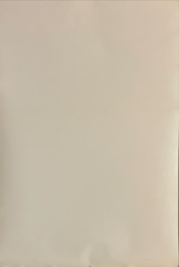 "The Dead Zone", Original Release Japanese Movie Poster 1983, B2 Size (51 x 73cm) I130