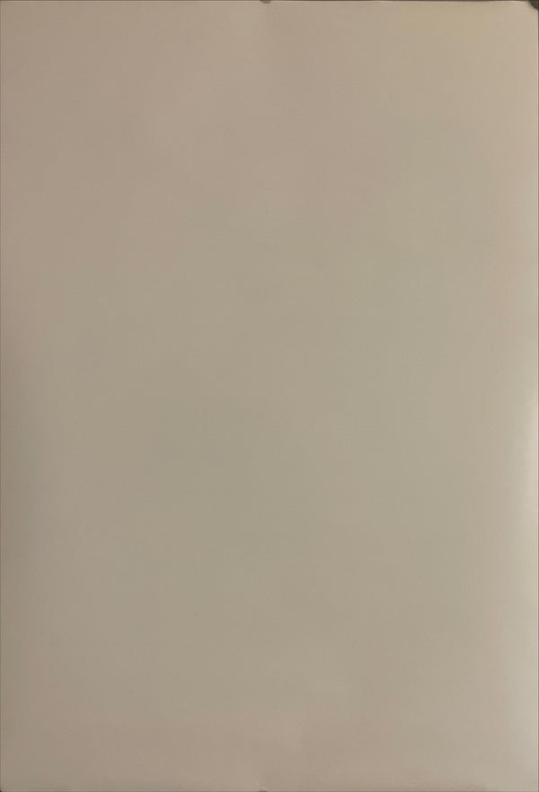 "Neon Genesis: Evangelion", Original Japanese Poster 1996, B2 Size (51 x 73cm) I169