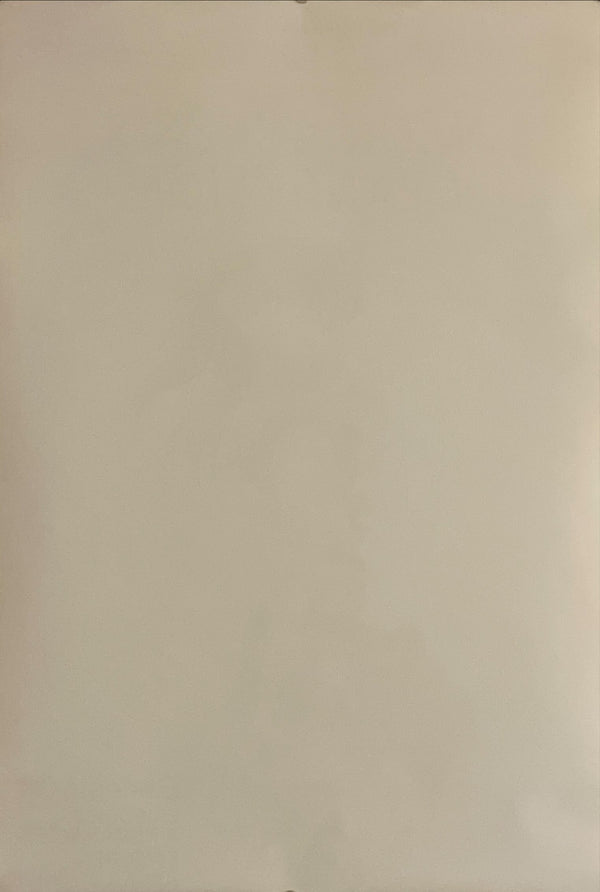 "Neon Genesis: Evangelion", Original Japanese Poster 1997, King Records, B2 Size (51 x 73cm) I170