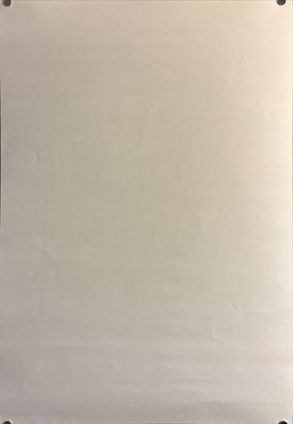 "Akira DVD Special Edition", Original DVD Release Japanese Movie Poster 2001, B2 Size (51 x 73cm) H221