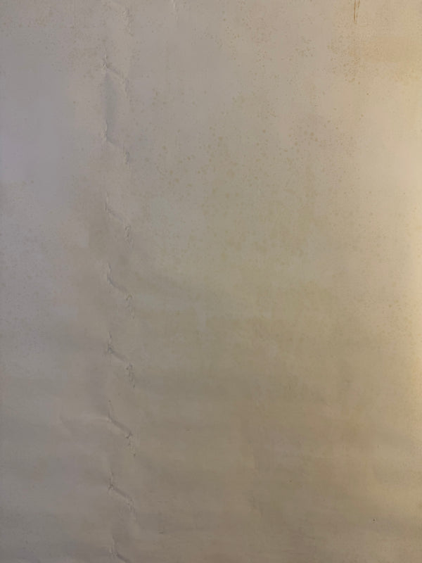 “TADANORI YOKOO – EARTH, WIND AND FIRE 1976”, Japanese Contemporary Art Poster, Original Offset 1976, Ultra‑Rare, B1 Size (c. 73 × 101 cm)