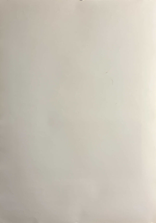 “STAR WARS: EPISODE I – THE PHANTOM MENACE / DARTH MAUL × JAPANESE ENVIRONMENT AGENCY”, Original Japanese Government Environment Month Tie-Up Poster 1999, B2 Size (c.51.5 × 72.8 cm) T183