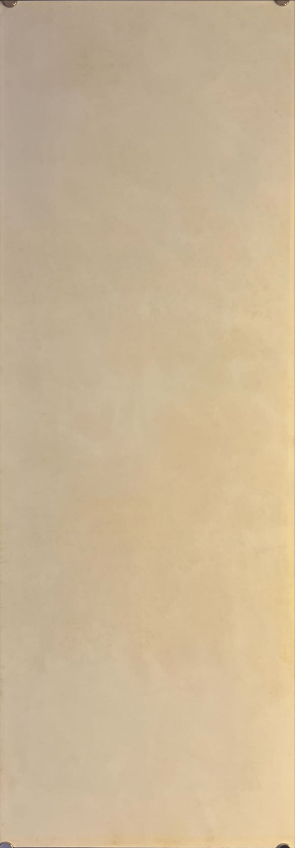 "Flesh Gordon", Original Release Japanese Movie Poster 1974, Speed Poster (26 x 73cm) K87