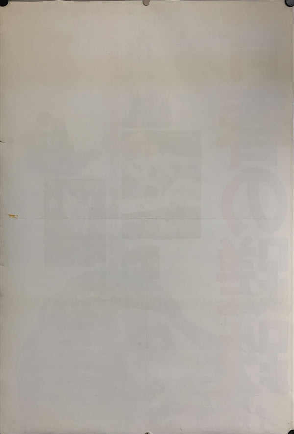 "Bitterness of Youth", Original Release Japanese Movie Poster 1974, B2 Size (51 x 73cm) C187