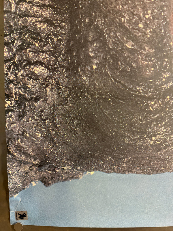 “Godzilla – King of the Monsters” (ゴジラ), Original Japanese Promotional Character Poster 1984, B2 Size (51 × 73 cm) O305
