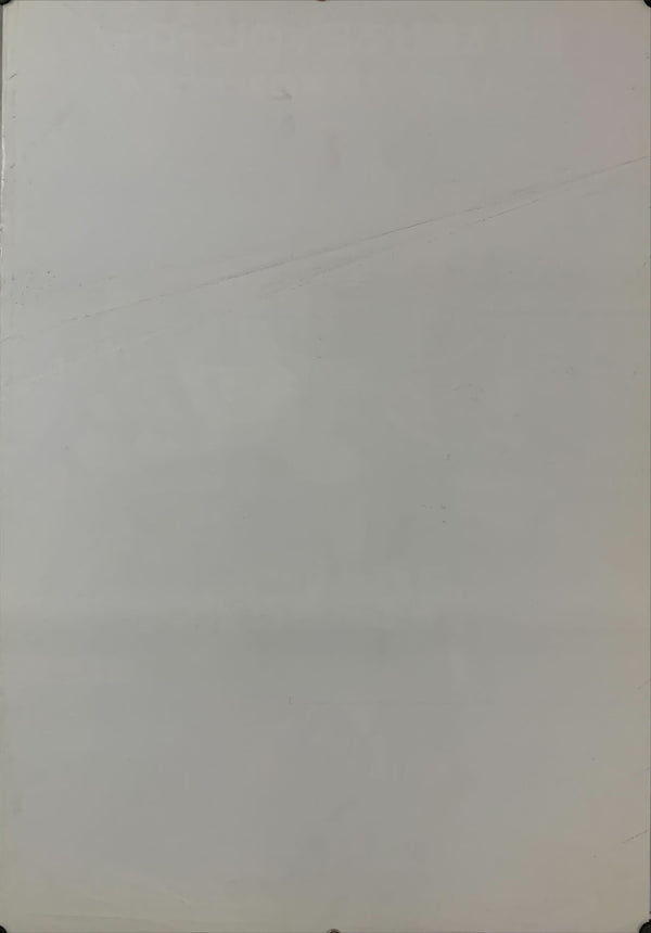 "Mighty Morphin Power Rangers", Original Release Japanese Movie Poster 1995, B2 Size (51 x 73cm) C244