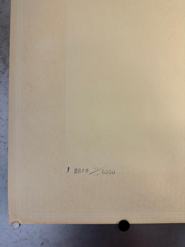 "TADANORI YOKOO - Clear Light November 1974", Japanese Contemporary Art Poster, Original Offset 1974, Ultra Rare, Size (c.69 x 103cm)