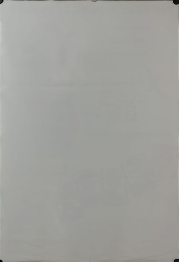 "There's Something About Mary", Original Release Japanese Movie Poster 1998, B2 Size (51 x 73cm) D36