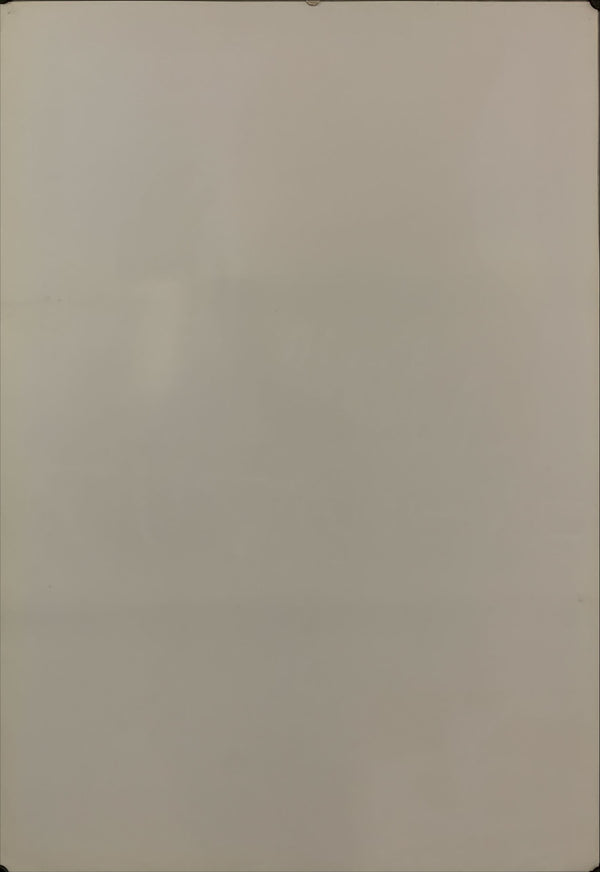 "The Book of Mary", Original Release Japanese Movie Poster 1985, B2 Size (51 x 73cm) D140