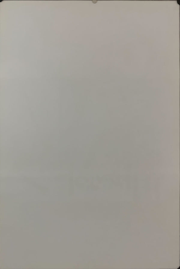 "And Quiet Flows the Don", Original Re-Release Japanese Movie Poster 1980`s, B2 Size (51 x 73cm) D149