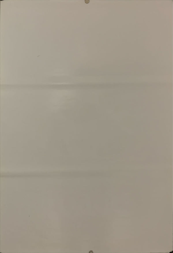 "Gremlins", Original Release Japanese Movie Poster 1984, B2 Size (51 x 73cm) D156