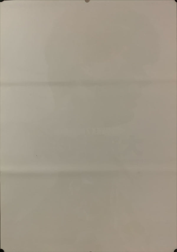 "Man of Marble", Original Release Japanese Movie Poster 1975, B2 Size (51 x 73cm) D158