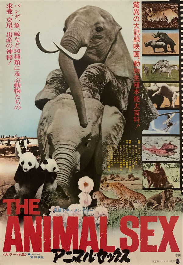 "The Animal Sex", Original First Release Japanese Movie Poster 1971, B2 Size (51 x 73cm) D224