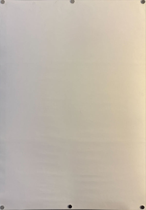 "Spirited Away" (千と千尋の神隠し), Original Japanese Home-Video/DVD Release Poster 2002, B2 Size (51 × 73 cm) O469