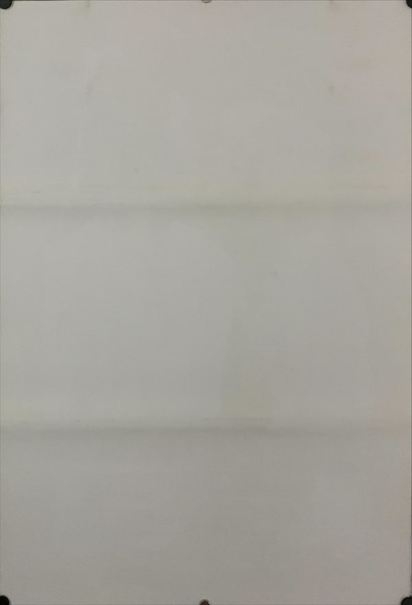 "Sid and Nancy", Original Release Japanese Movie Poster 1988, B2 Size (51 x 73cm) E138