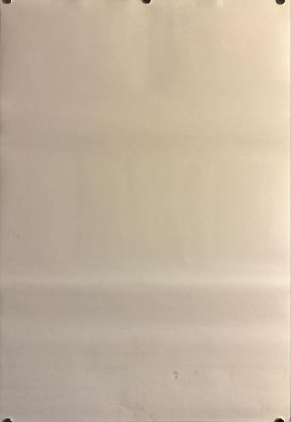 “Evangelion: 3.33 You Can (Not) Redo” (ヱヴァンゲリヲン新劇場版:Q), Original Release Japanese Home Video Poster 2013, B2 Size (51 × 73 cm) O484