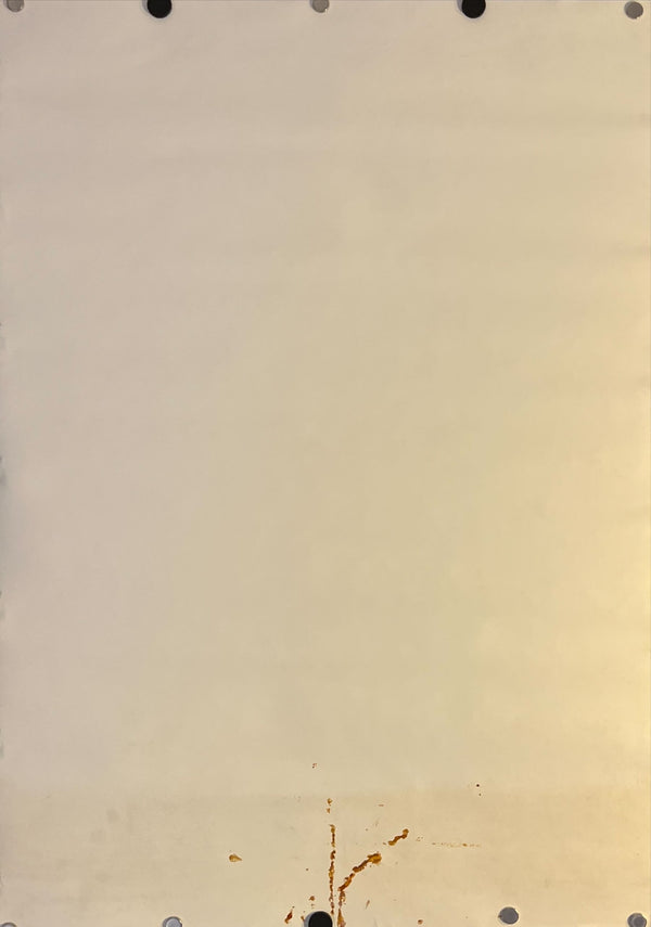 "Female Trouble / Pink Flamingos", Original Release Japanese Movie Poster 1986, B2 Size (51 x 73cm) K154