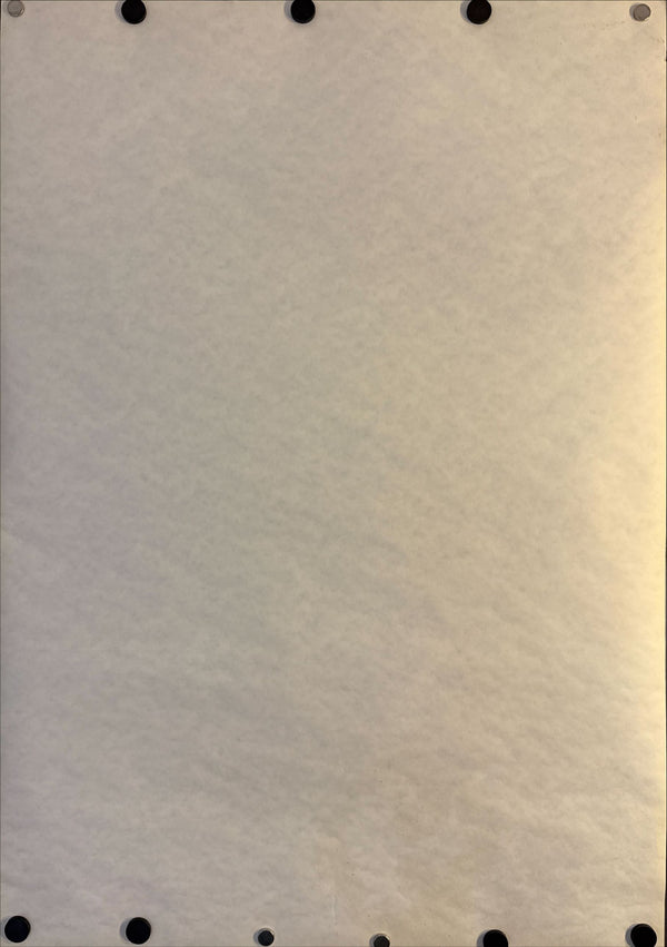 "Dušan Makavejev Film Collection", Original Release Japanese Movie Poster 1994, B2 Size (51 × 73 cm) N93