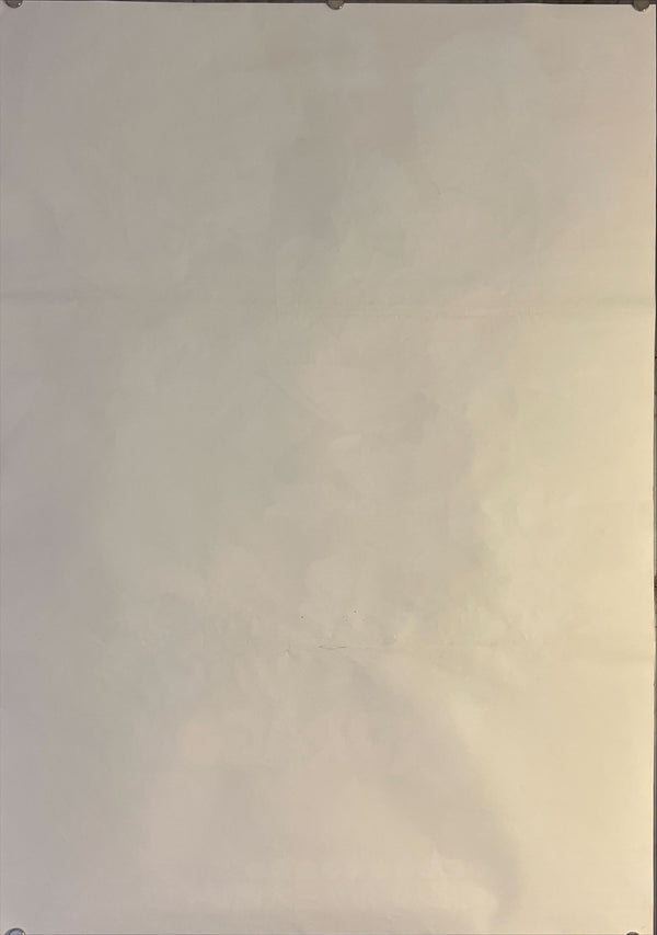 "Dragon Ball Z: Super Android 13!", Original Release Japanese Movie Poster 1992, B2 Size (51 x 73cm) K172