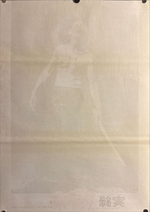 "True Account Of Hikashaku: A Wolf`s Honor"(実録飛車角 狼どもの仁義), Original Japanese B2 Movie Poster 1974, B2 Size (c. 51 × 73 cm) ZA168