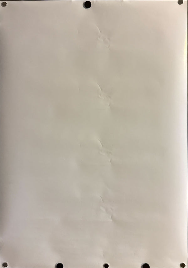 “Evangelion: 3.0 × UCC Coffee – Rei, Asuka & Mari” (ヱヴァンゲリヲン新劇場版:Q × UCC), Original Japanese Promotional Poster 2012, B2 Size (51 × 73 cm) ZA397