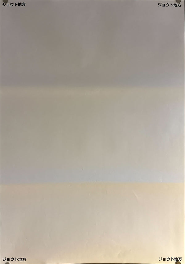 “Pokémon: Dialga vs. Palkia vs. Darkrai – Johto World Map” (劇場版ポケットモンスター/ディアルガVSパルキアVSダークライ ワールドポスターマップ), Original Japanese Promotional Poster 2007, B2 Size (51 × 73 cm) ZA399