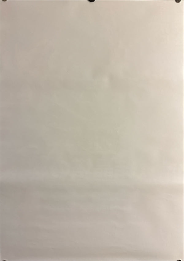 “Pokémon 3: The Movie” (劇場版ポケットモンスター 結晶塔の帝王), Original Japanese First-Release Movie Poster 2000, B2 Size (51 × 73 cm) K190