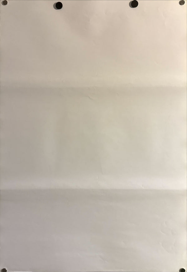 “Star Wars Episode I: The Phantom Menace” (スター・ウォーズ エピソード1/ファントム・メナス), Original Release Japanese Movie Poster 1999, B2 Size (51 × 73 cm) B177 A